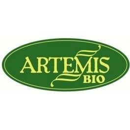 Artemis logo