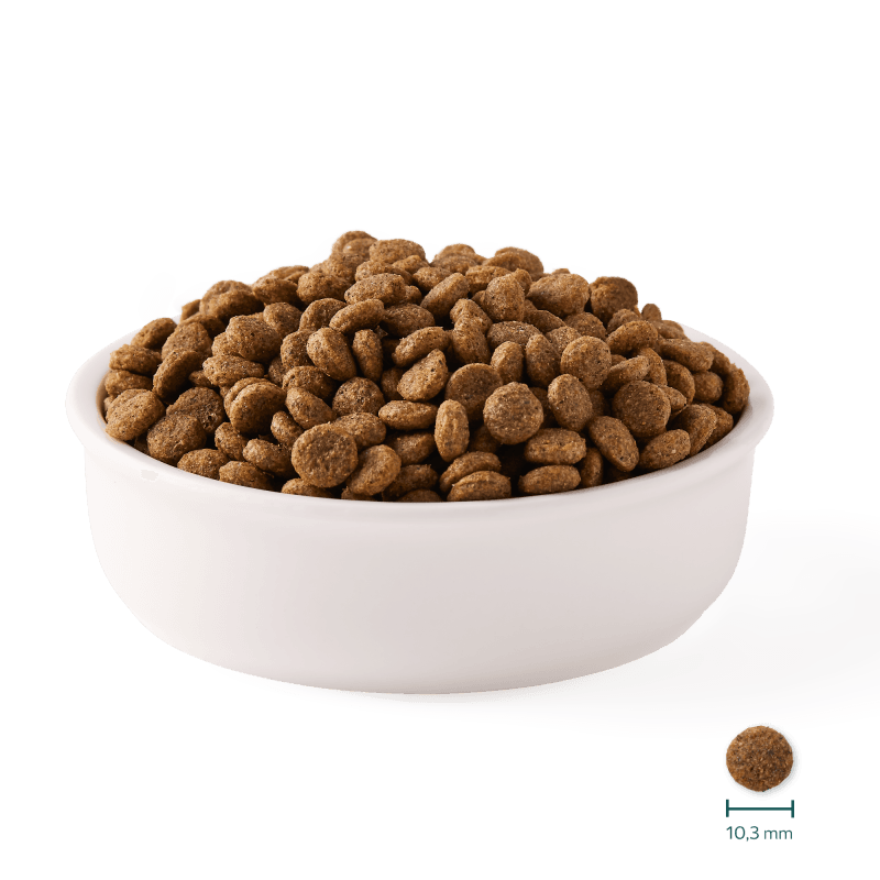 Graanvrije Kattenbrokken