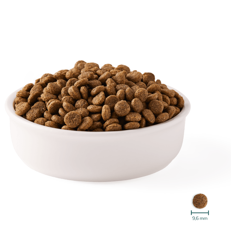 Graanvrije Gesteriliseerde Kattenbrokken