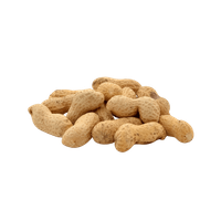 Cacahuètes En Coque Grillées En Vrac BIO