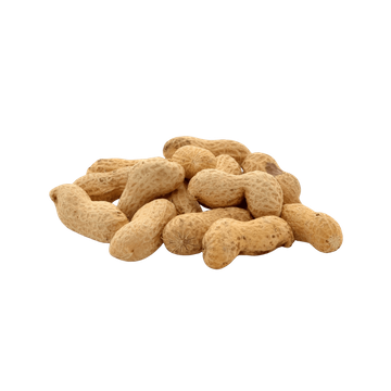 Cacahuètes En Coque Grillées En Vrac BIO