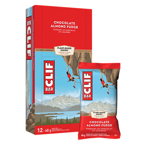 Chocolate Fudge Almond Energy Bar