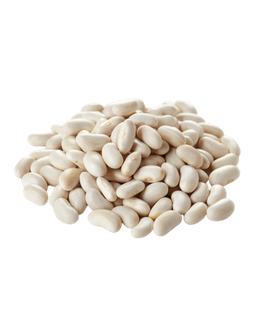 Haricots Blancs En Vrac BIO