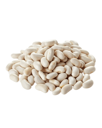 Haricots Blancs En Vrac BIO