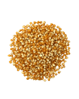 Maïs Pop Corn En Vrac BIO