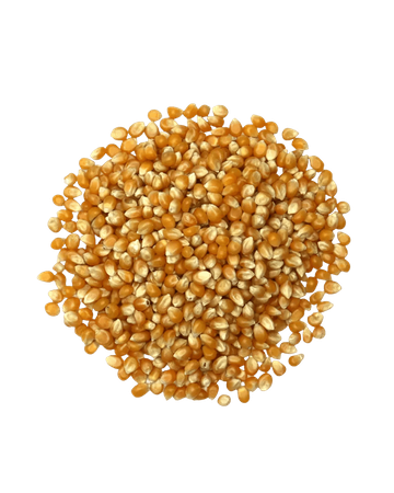 Maïs Pop Corn En Vrac BIO