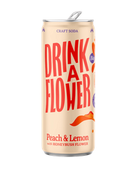 Boisson Pétillante Pêche Citron Fleur Honeybush BIO