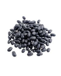 Haricots Noir En Vrac Organic