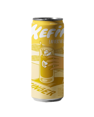 Gember & Kurkuma Kefir bio