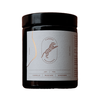 Poudre Cacao Cru Épices Joy
