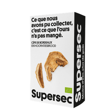 Porcini Mushroom Organic