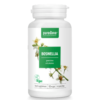 Boswellia-extract vegan 