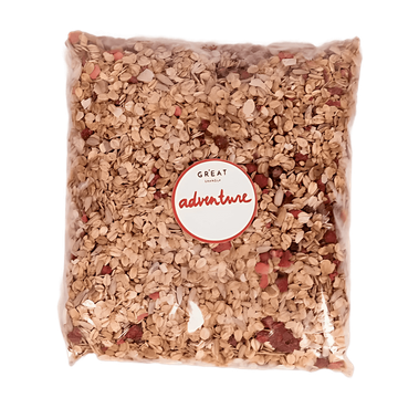 Granola Adventure Bosvruchten Glutenvrije BIO