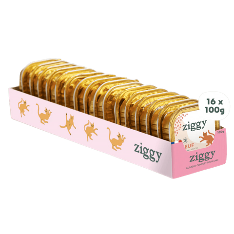 Gestoomd Rundvlees Kattenvoer Senior