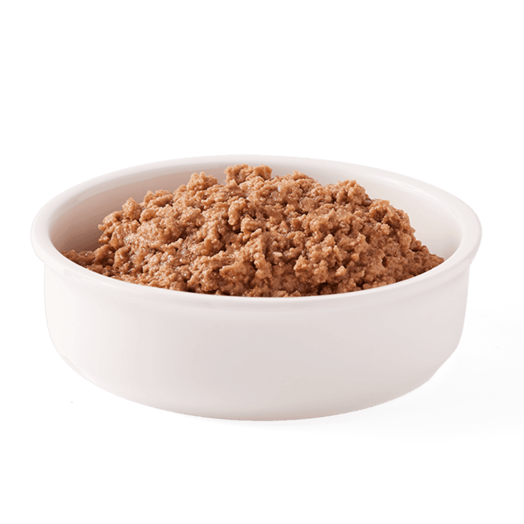 Chicken & Turkey Cat Food Chunks Organic