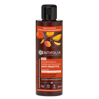 2 In 1 Curl Detangling Shampoo Organic Organic