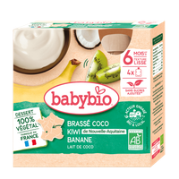 Gourdes Brassé Lait Coco Kiwi  Banane Dès 6 Mois BIO