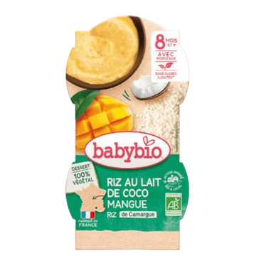 Coconut Mango Rice Pudding From 8 Months Organic