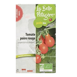 Graines Tomate Cerise Poire Rouge BIO