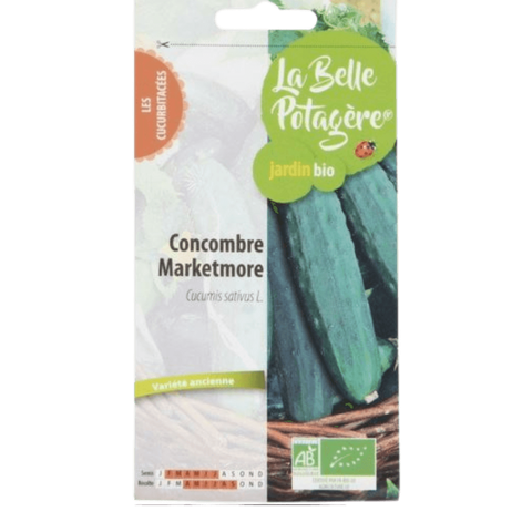 Graines Concombre Marketmore