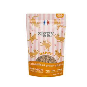 Happy Salmon & Coconut Cat Treats