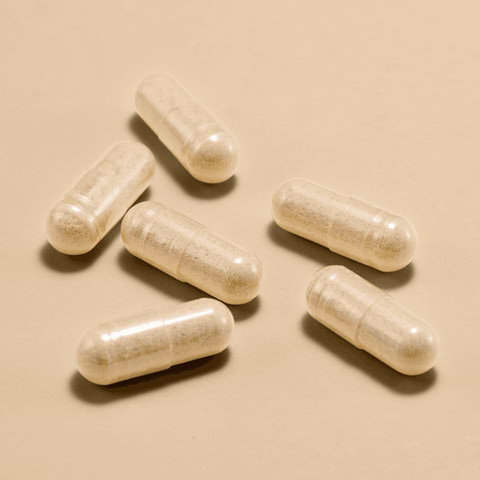 VEGAN BASICS - B2, B12, Fer, Zinc