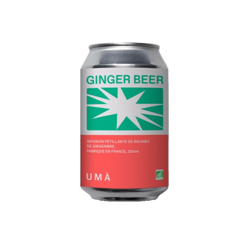 Gember Bier Bruisdrank BIO