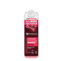 Eco Recharge Shampoing Brillance BIO