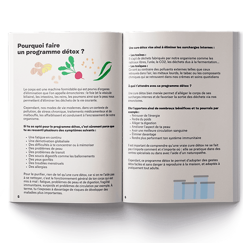 Digitale Gids-Detox Programma