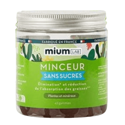Gummies Minceur SANS SUCRES x42