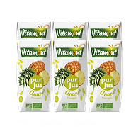 Briquettes Pineapple Juice organic