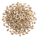 French Sunflower Seeds in Bulk organic