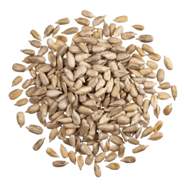 Graines De Tournesol Origine France En Vrac BIO