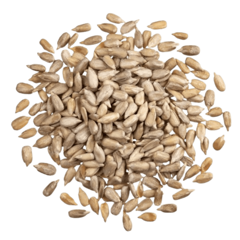 French Sunflower Seeds in Bulk