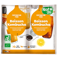 Ferment Kombucha bio