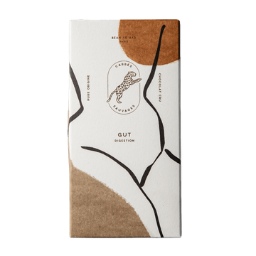 Raw Chocolate Digestive Wellness