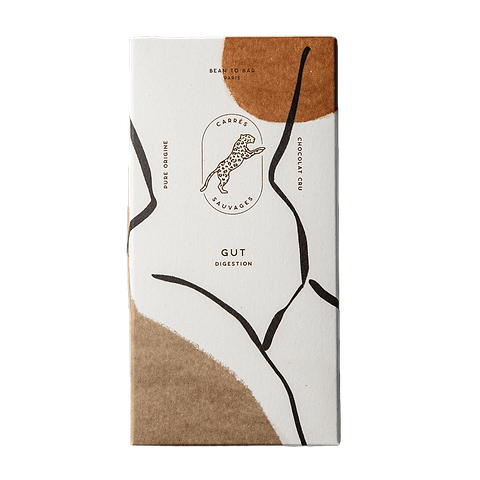 Raw Chocolate Digestive Wellness