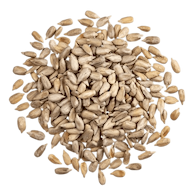 Zonnebloempitten in Bulk bio