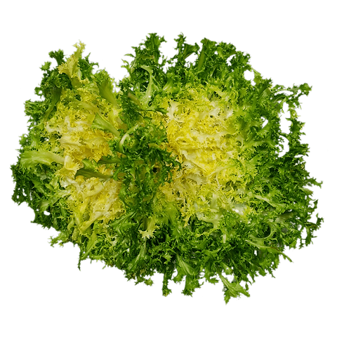 Salade Frisée (1 pièce) (FR)