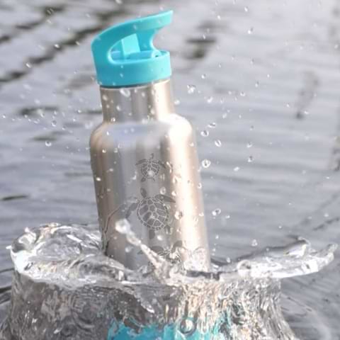 Stainless Steel Insulated Kids Bottle Turtle