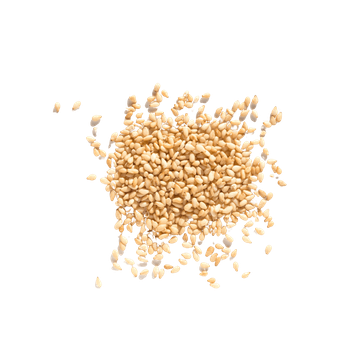 Sesame Seeds In Bulk