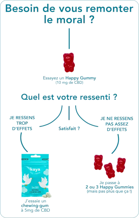 Gummies Bonne Humeur CBD & Adaptogènes