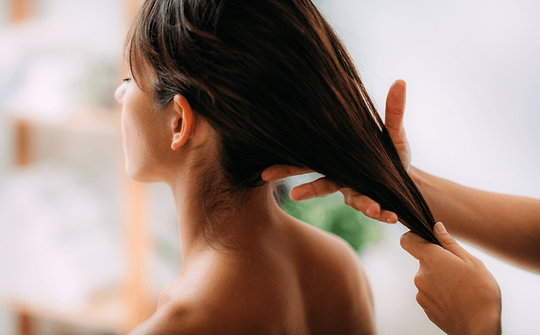 Huile de jojoba, ses bienfaits miraculeux sur la peau et les cheveux