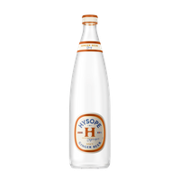 Gemberbier
