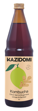 Kombucha Limoen Gember BIO
