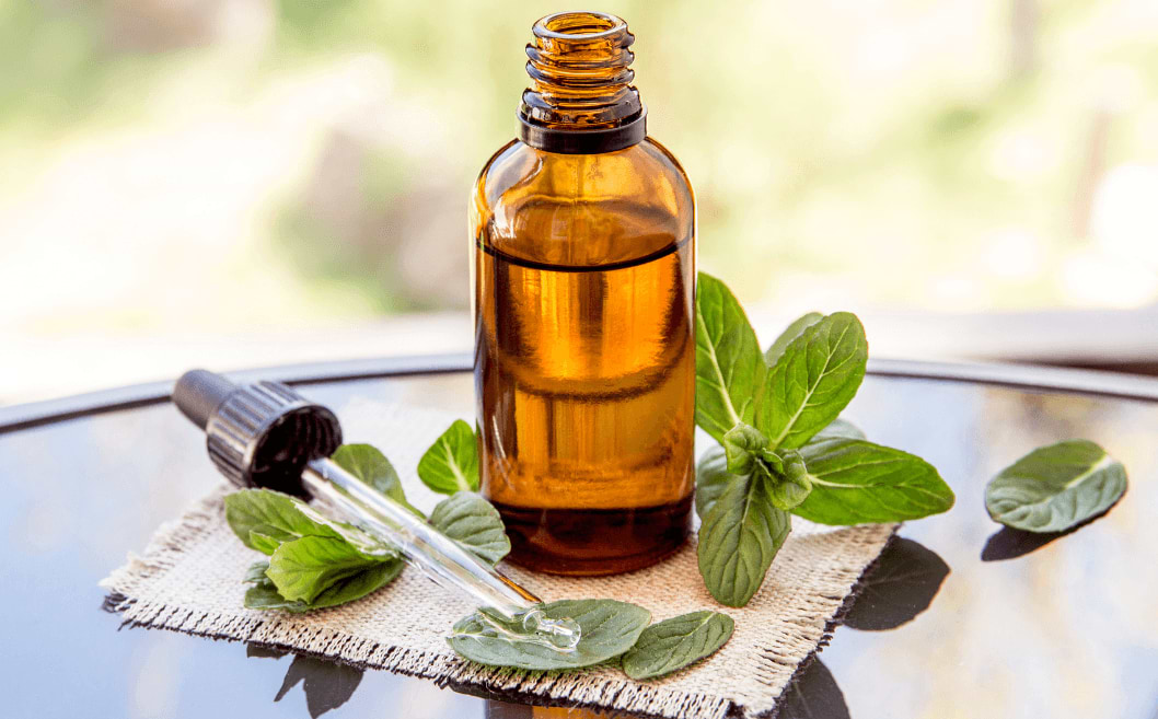 La menthe poivrée, l’huile essentielle aux milles et une vertus