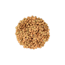 Brown Lentils in Bulk organic
