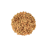 Bruine Linzen in Bulk bio