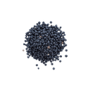 Bulk Black Beluga Lentils organic