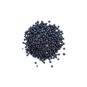 Bulk Black Beluga Lentils Organic